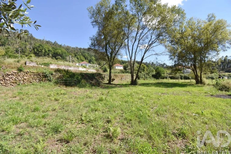 Terreno para Venda em São Miguel, Santa Eufémia e Rabaçal Foto 9
