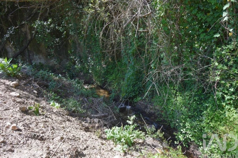 Terreno para Venda em São Miguel, Santa Eufémia e Rabaçal Foto 13