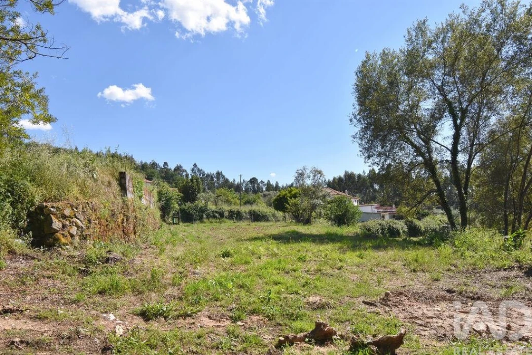 Terreno para Venda em São Miguel, Santa Eufémia e Rabaçal Foto 14