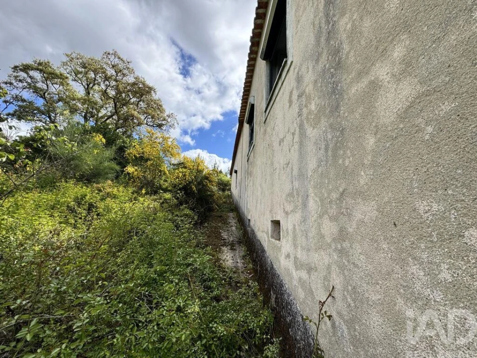 Moradia para Venda em Alvares Foto 3