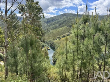 Moradia para Venda em Alvares