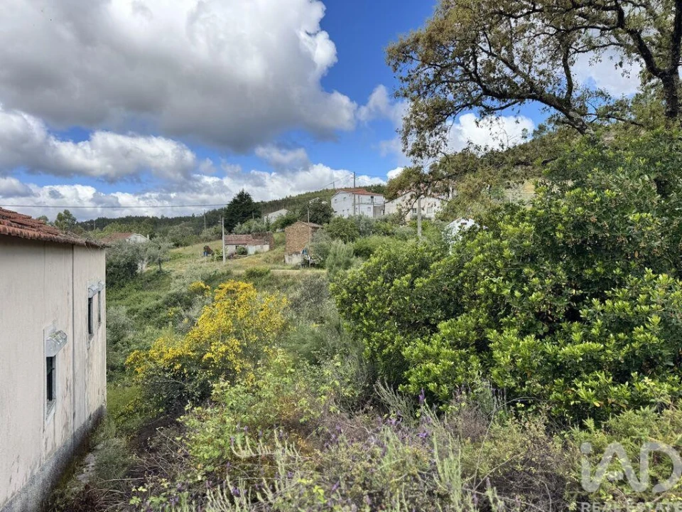 Moradia para Venda em Alvares Foto 6