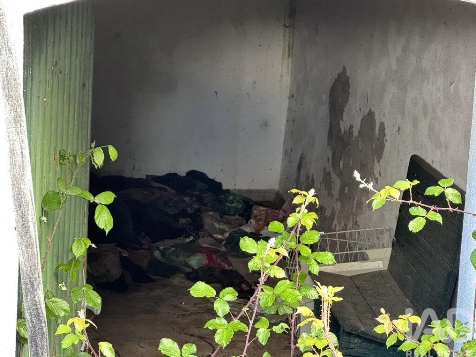 Moradia para Venda em Alvares Foto 26