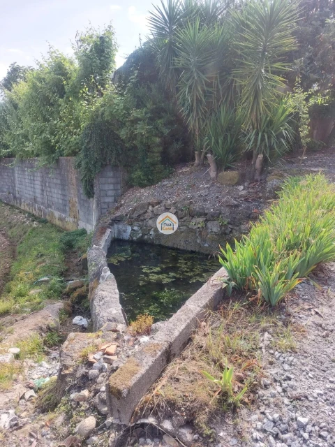 Terreno para Venda em Meinedo