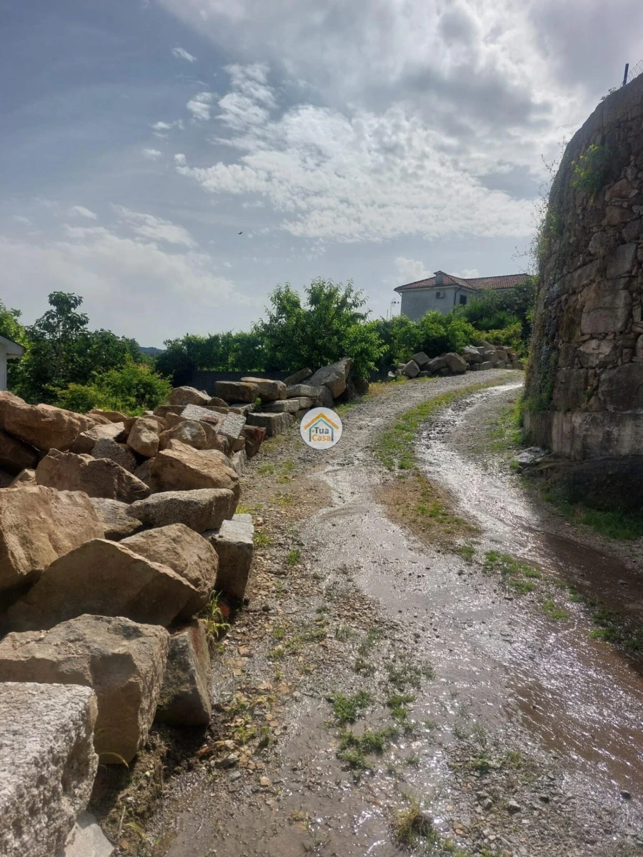 Terreno para Venda em Meinedo Foto 6