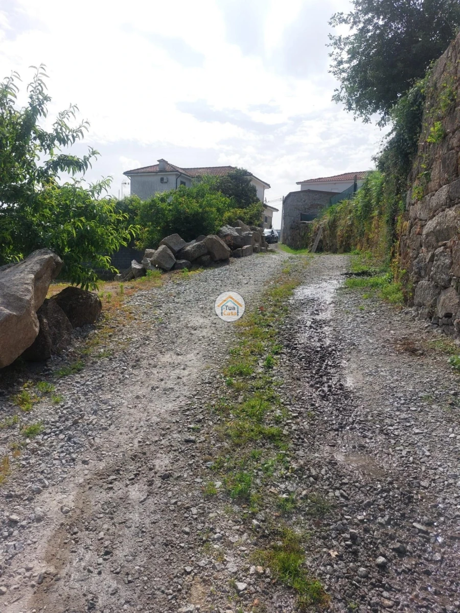 Terreno para Venda em Meinedo Foto 5