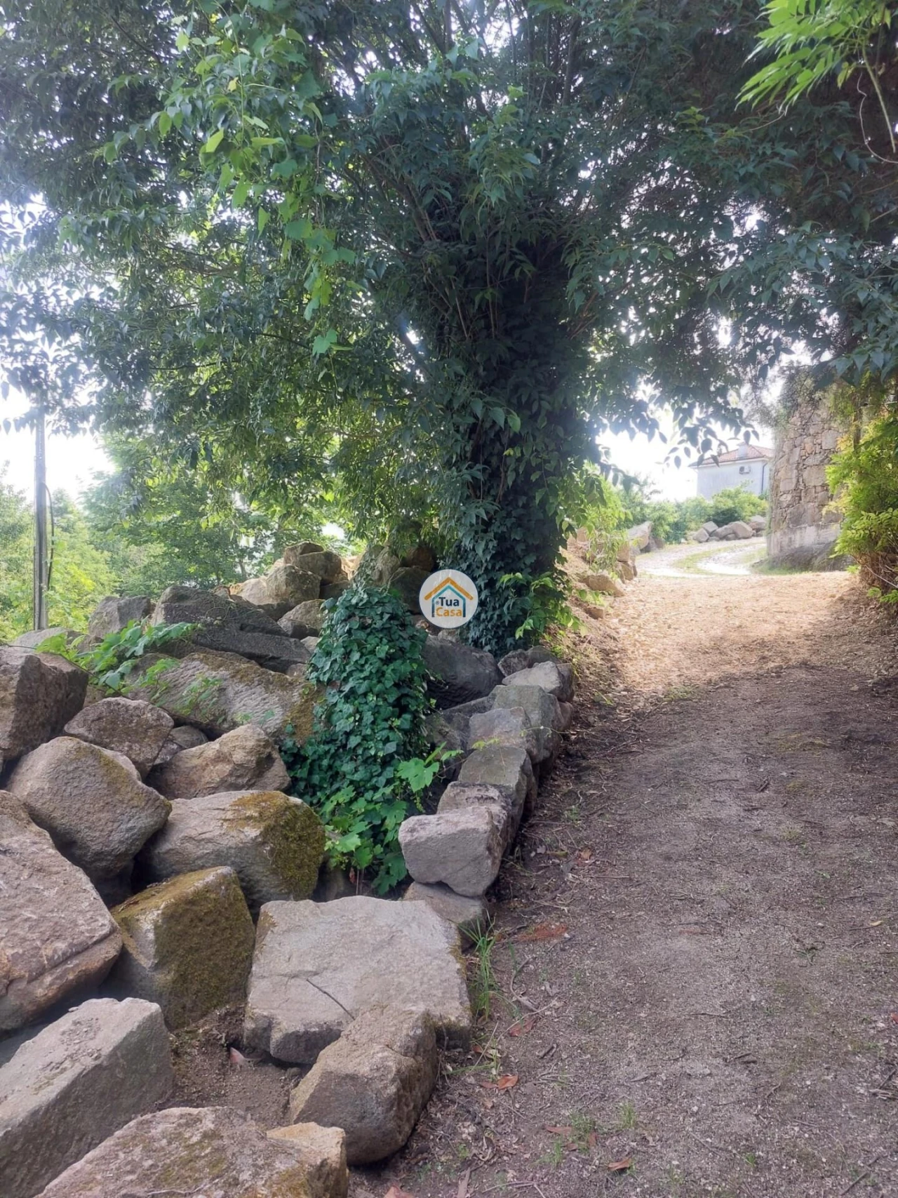 Terreno para Venda em Meinedo Foto 3