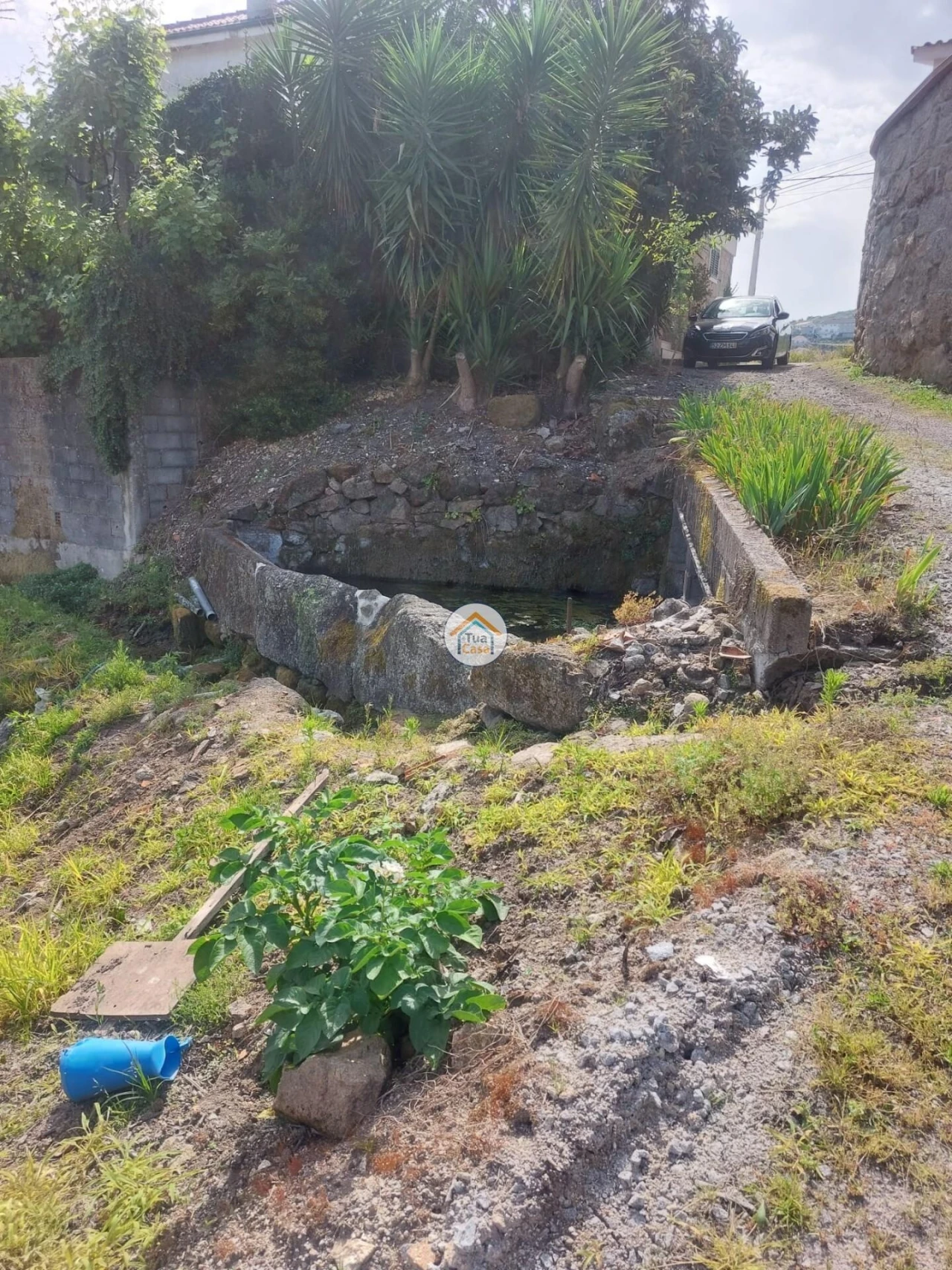Terreno para Venda em Meinedo Foto 4