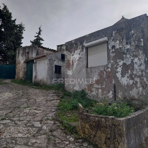 Moradia T6 para Venda em Lamas e Cercal Foto 4