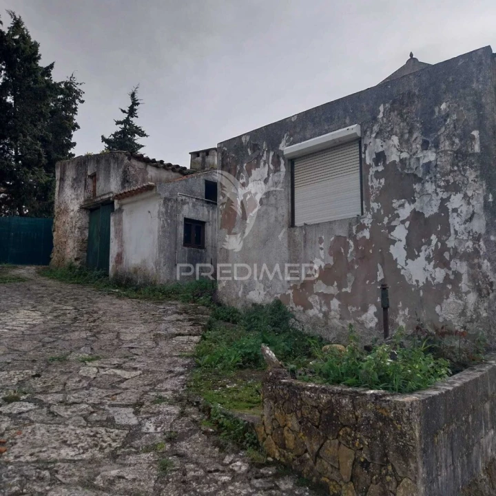 Moradia T6 para Venda em Lamas e Cercal Foto 4