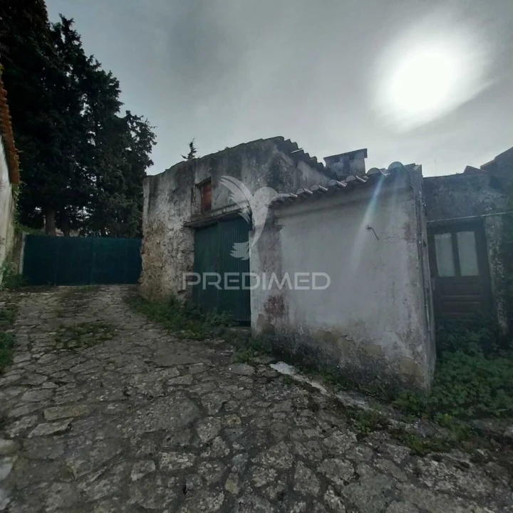 Moradia T6 para Venda em Lamas e Cercal Foto 15