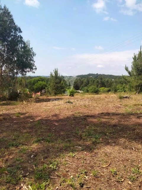 Terreno para Venda em Canedo, Vale e Vila Maior