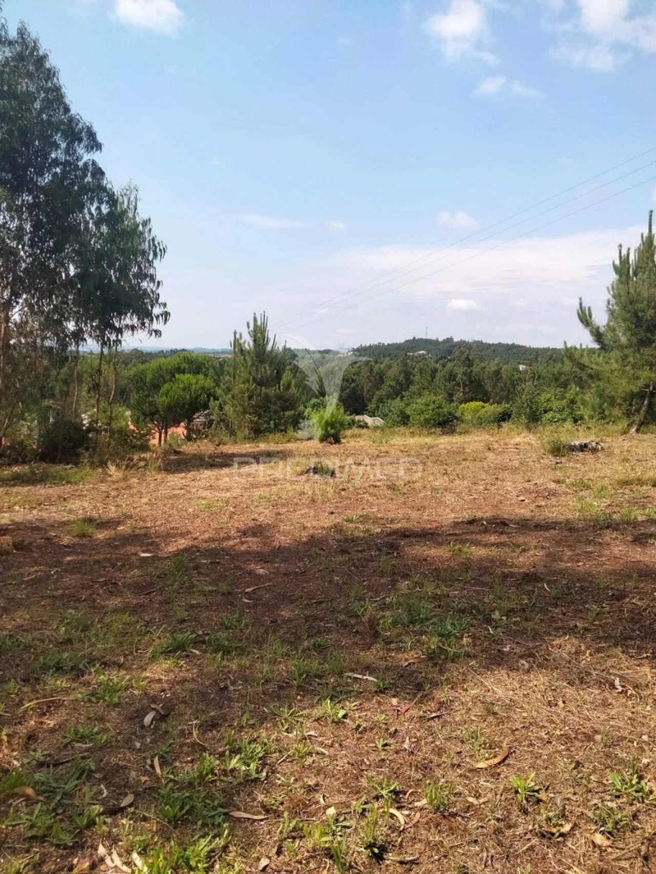 Terreno para Venda em Canedo, Vale e Vila Maior Foto 1