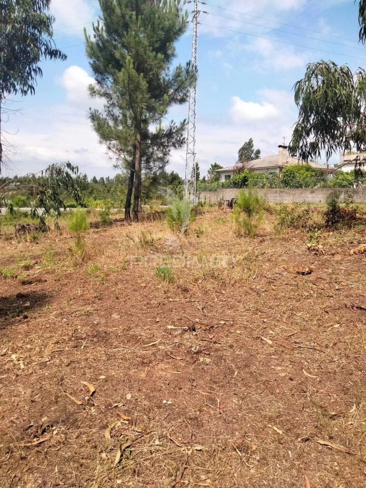 Terreno para Venda em Canedo, Vale e Vila Maior Foto 2