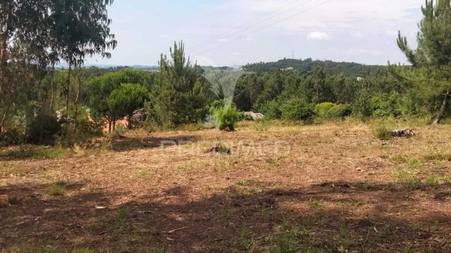 Terreno para Venda em Canedo, Vale e Vila Maior