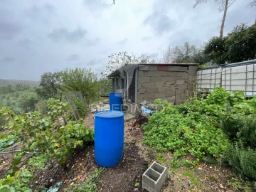 Quinta para Venda em São Miguel do Rio Torto e Rossio Ao Sul do Tejo