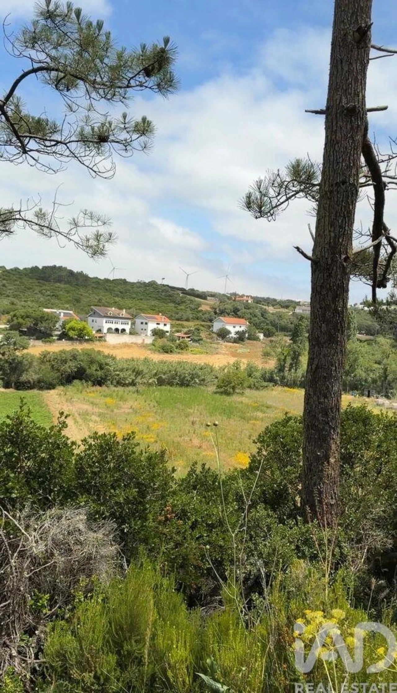 Terreno para Venda em Santo Isidoro Foto 2