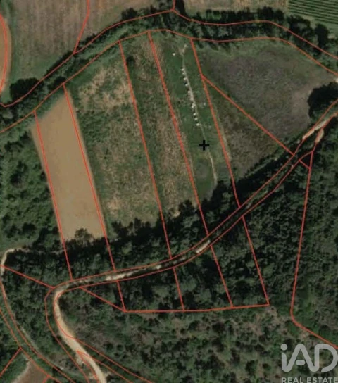 Terreno para Venda em Santo Isidoro