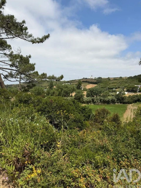 Terreno para Venda em Santo Isidoro