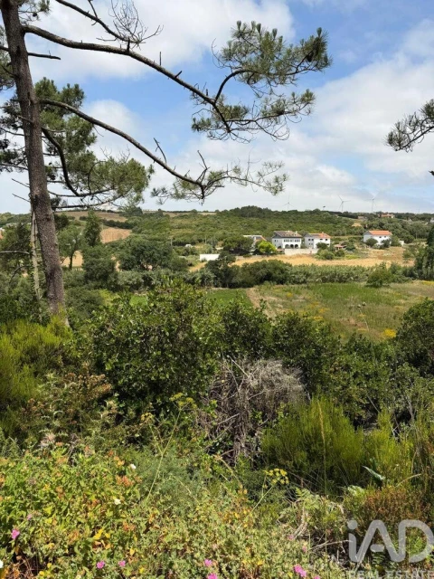 Terreno para Venda em Santo Isidoro