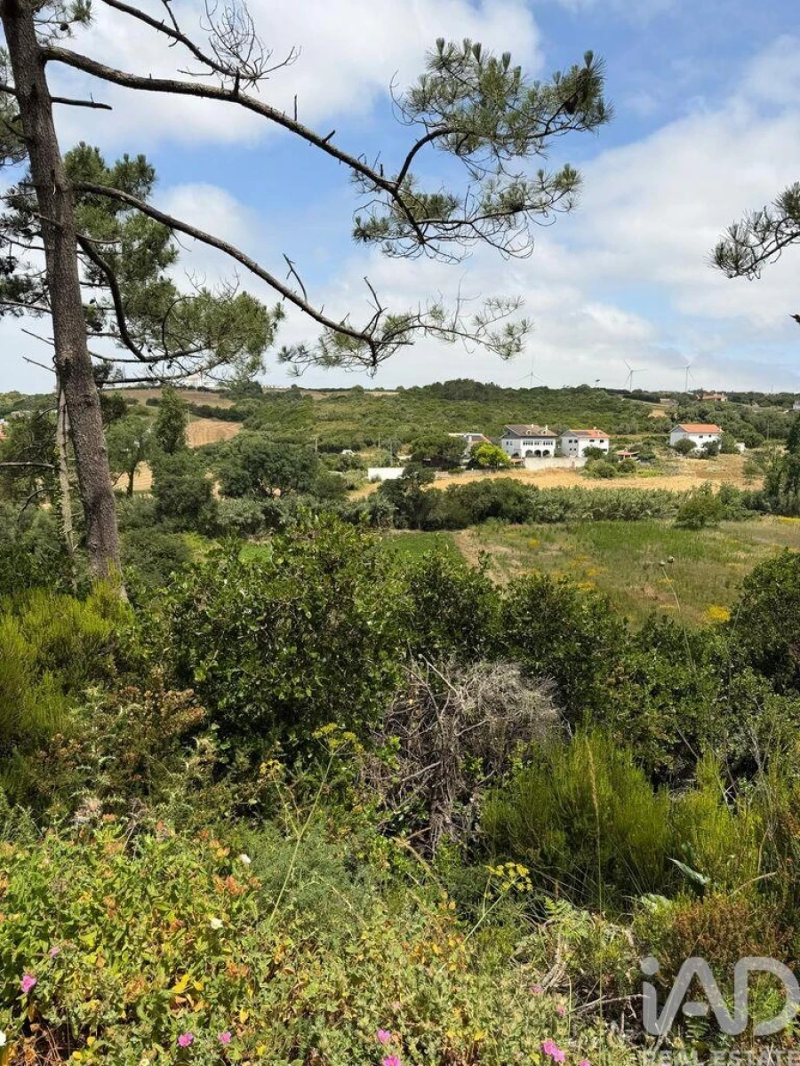 Terreno para Venda em Santo Isidoro Foto 3