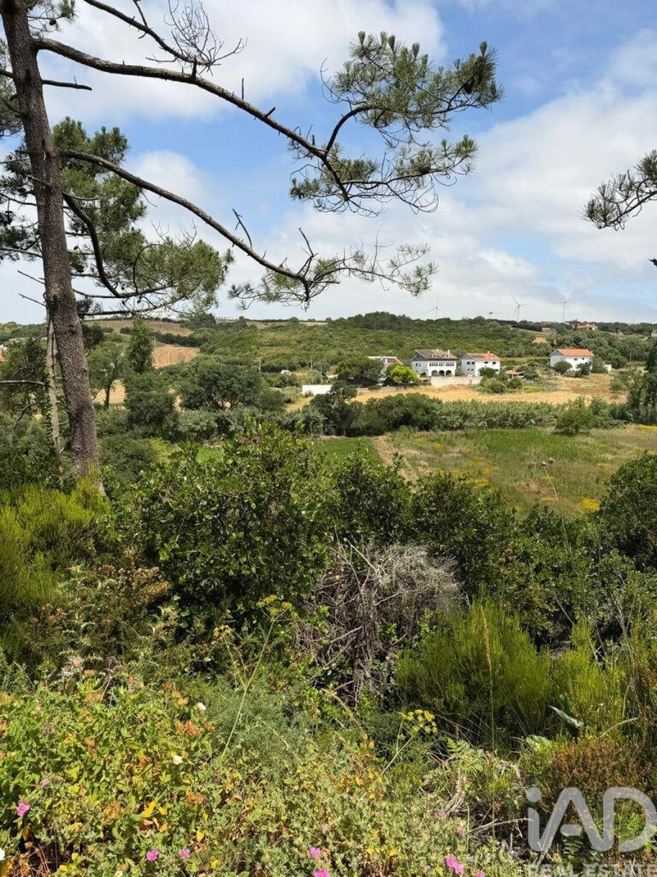 Terreno para Venda em Santo Isidoro Foto 3