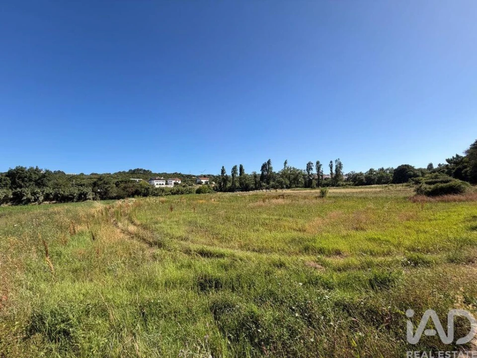 Terreno para Venda em Santo Isidoro Foto 1