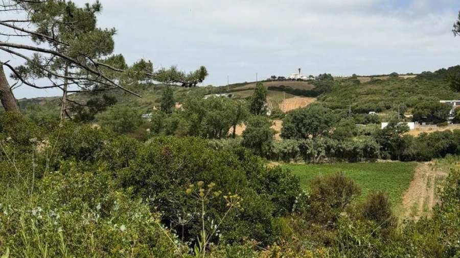 Terreno para Venda em Santo Isidoro