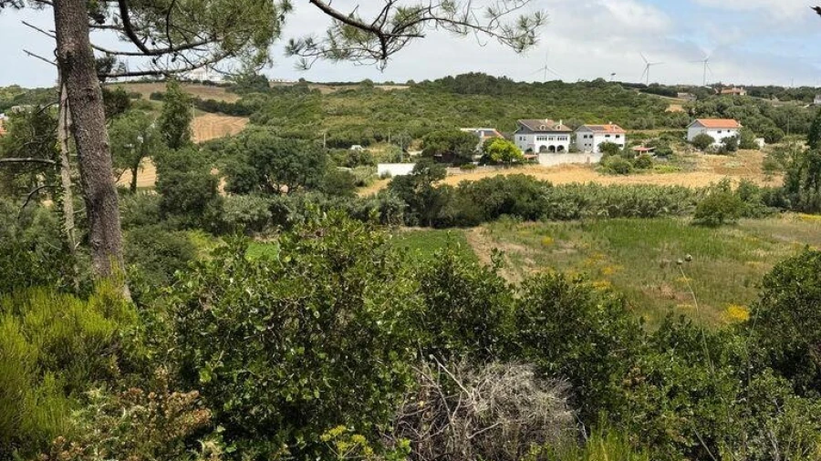 Terreno para Venda em Santo Isidoro