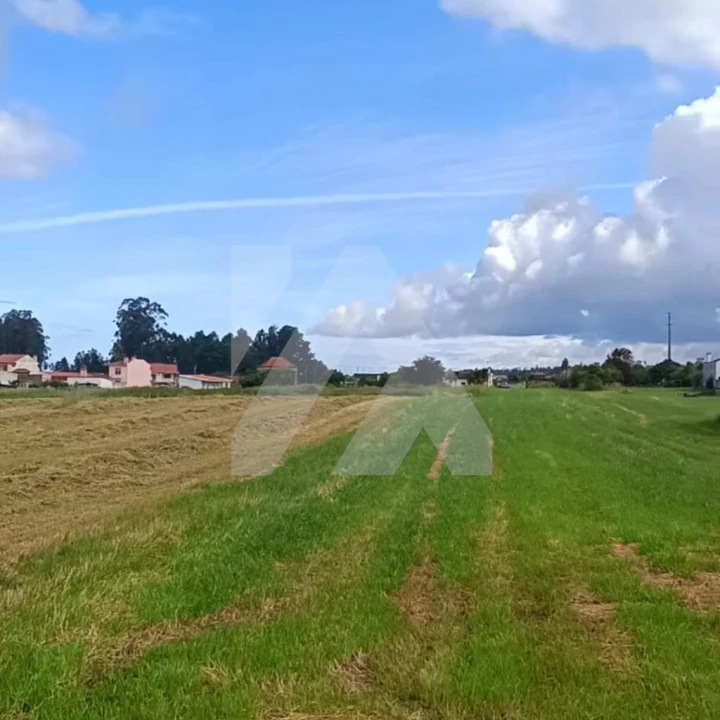 Terreno para Venda em Ovar, São João, Arada e São Vicente de Pereira Jusã Foto 1