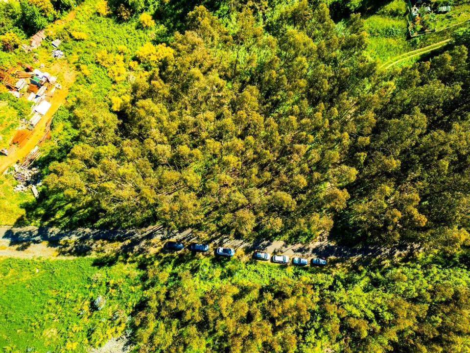 Terreno para Venda em Camacha Foto 5