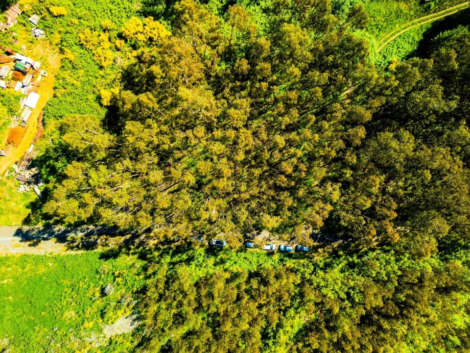 Terreno para Venda em Camacha Foto 6