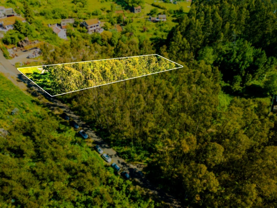 Terreno para Venda em Camacha Foto 3