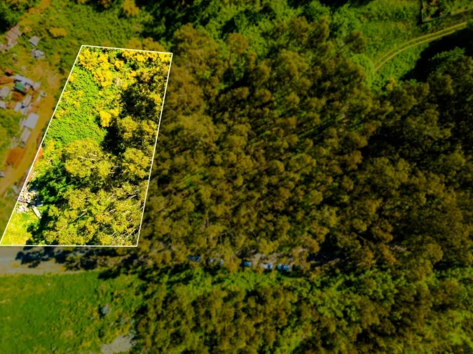 Terreno para Venda em Camacha Foto 2