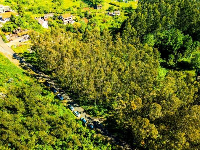 Terreno para Venda em Camacha Foto 10