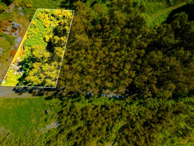 Terreno para Venda em Camacha
