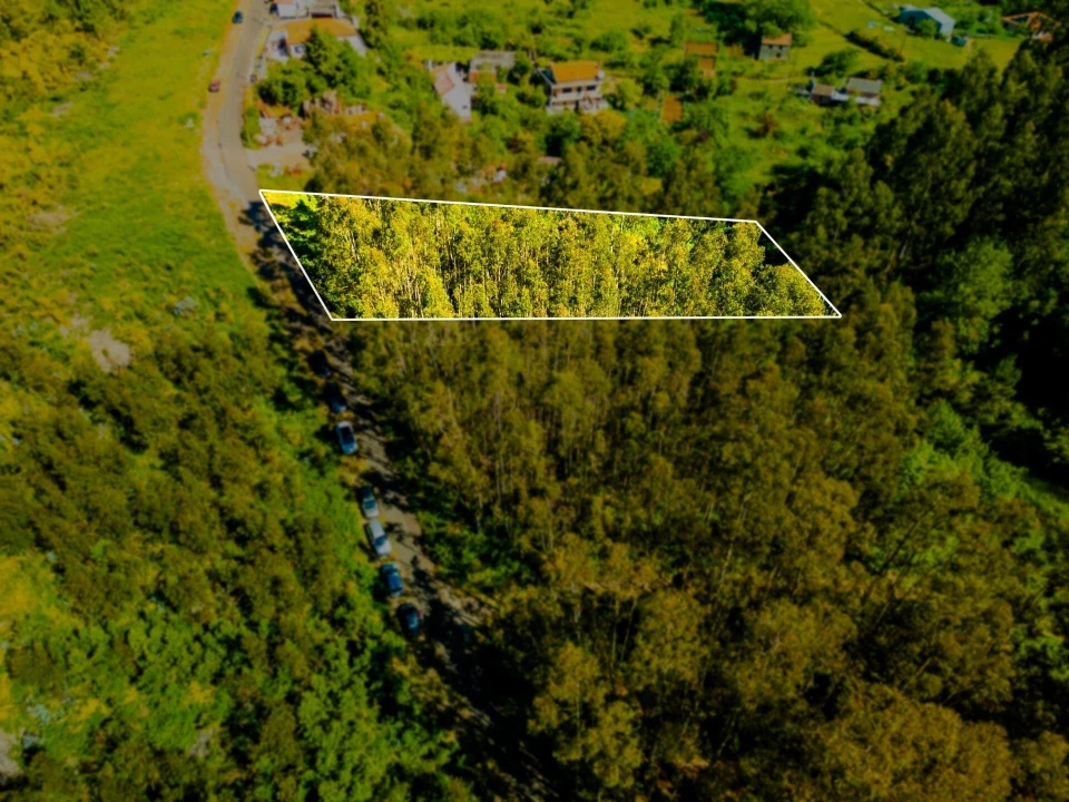 Terreno para Venda em Camacha Foto 4