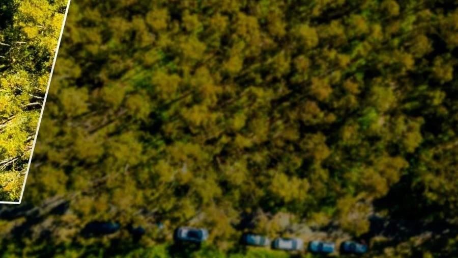Terreno para Venda em Camacha