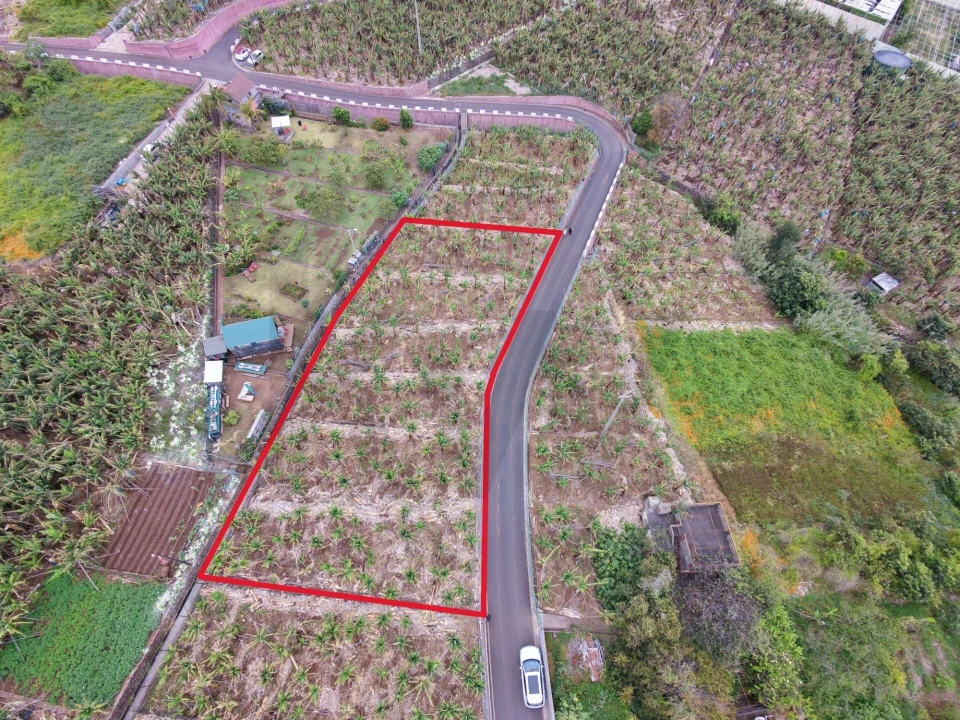 Terreno para Venda em Arco da Calheta Foto 4