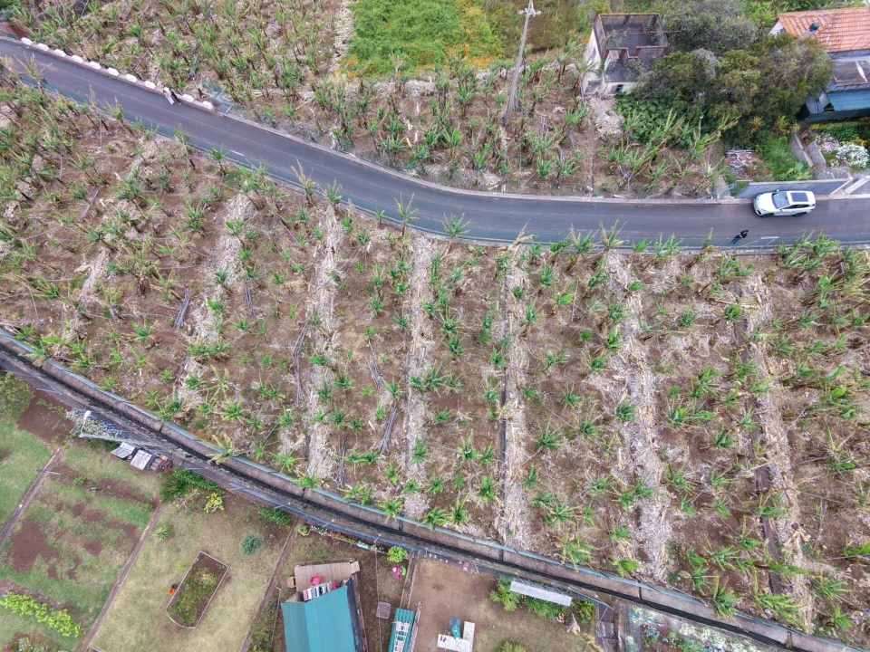 Terreno para Venda em Arco da Calheta Foto 5