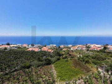 Terreno para Venda em Arco da Calheta
