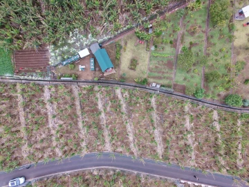 Terreno para Venda em Arco da Calheta