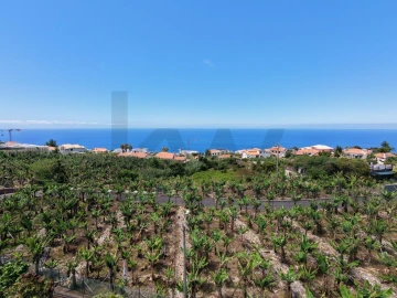 Terreno para Venda em Arco da Calheta