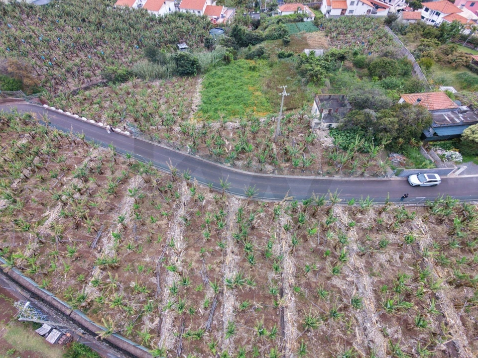 Terreno para Venda em Arco da Calheta Foto 11