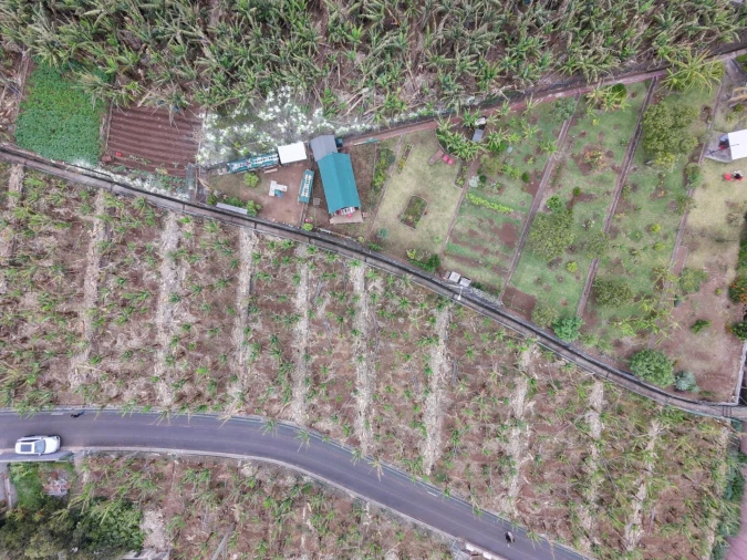 Terreno para Venda em Arco da Calheta Foto 9