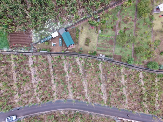 Terreno para Venda em Arco da Calheta Foto 10