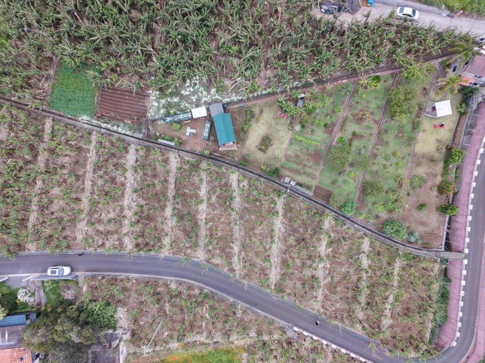 Terreno para Venda em Arco da Calheta Foto 8