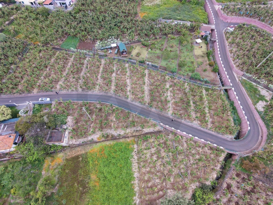 Terreno para Venda em Arco da Calheta Foto 7
