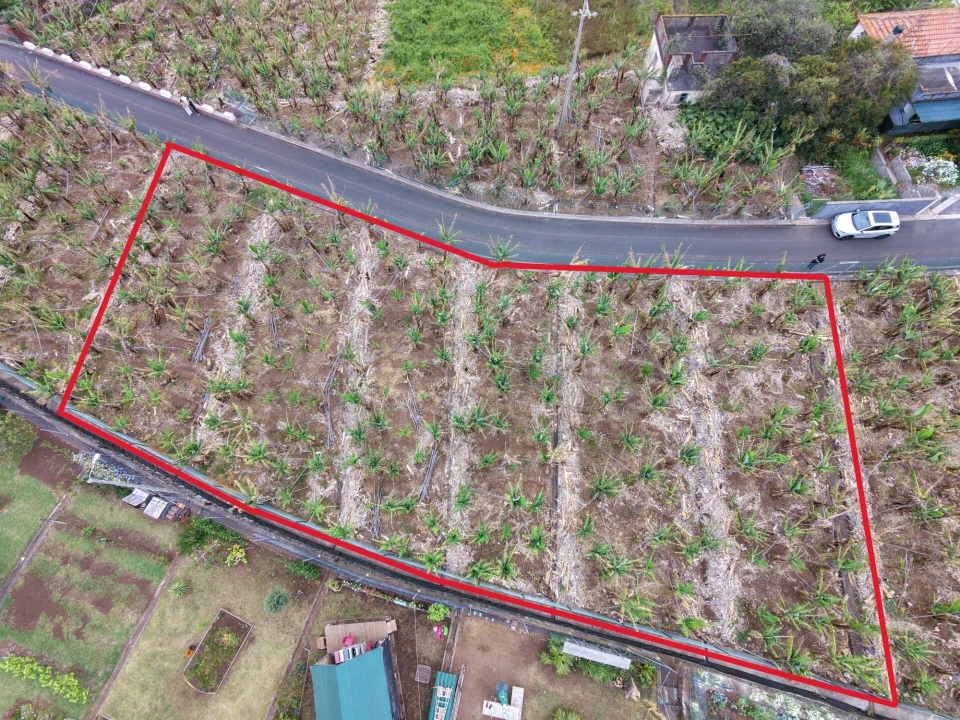 Terreno para Venda em Arco da Calheta Foto 6