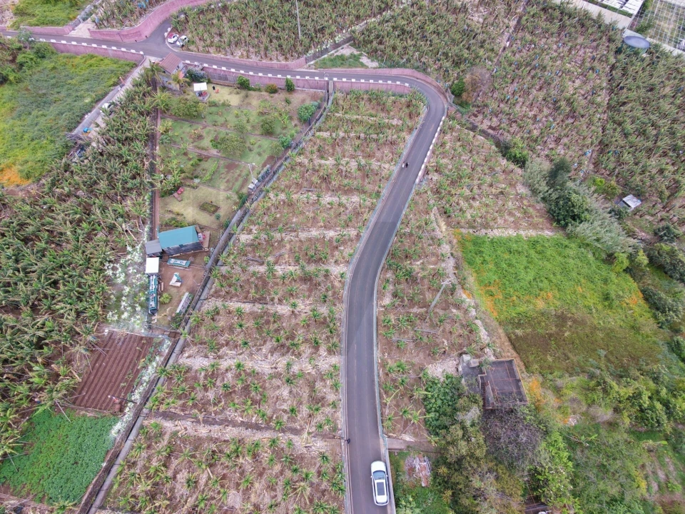 Terreno para Venda em Arco da Calheta Foto 3
